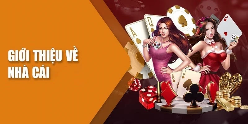 Thông tin tổng quan giới thiệu i9BET