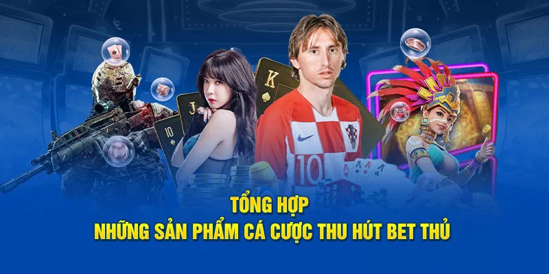 Tổng hợp những sản phẩm cá cược thu hút bet thủ